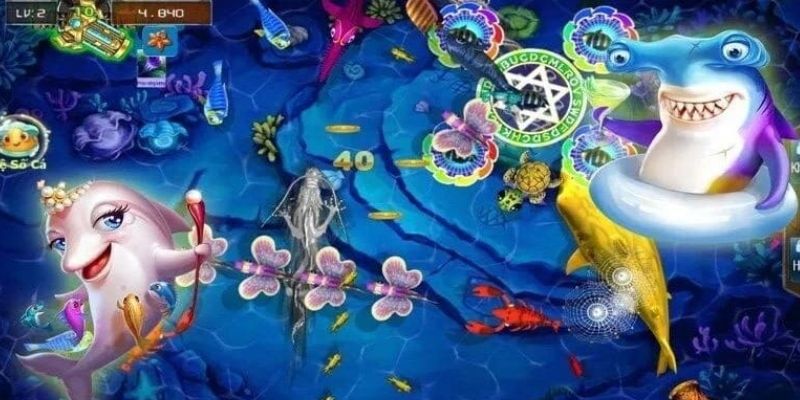 Giới thiệu sơ lược quy tắc cơ bản khi săn ngư